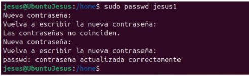 Imatge comanda sudo passwd